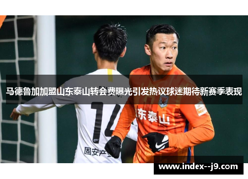 马德鲁加加盟山东泰山转会费曝光引发热议球迷期待新赛季表现