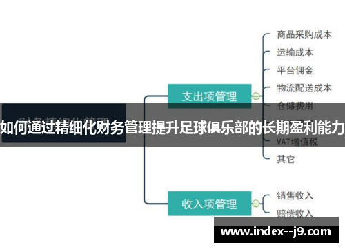 如何通过精细化财务管理提升足球俱乐部的长期盈利能力 如何通过精细化财务管理提升足球俱乐部的长期盈利能力